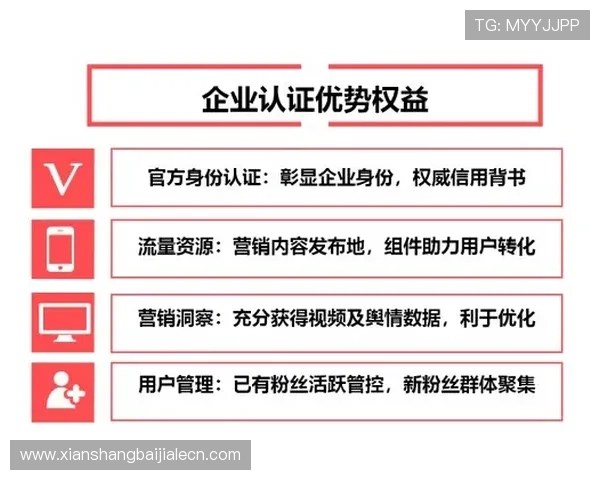 AG真人厅官方地址2024最新版本，官方授权入口全面解析与使用指南