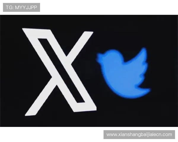 K8视讯注册流程详解帮助新手快速完成账号注册与登录指南