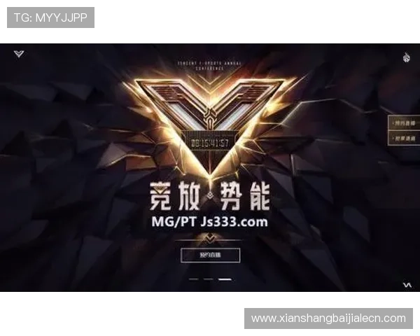 全面解析MG视讯游戏平台的安全保障措施，保障玩家资金与信息安全