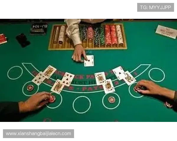 尊龙百家乐app详细玩法介绍，帮助玩家掌握百家乐的核心技巧与策略