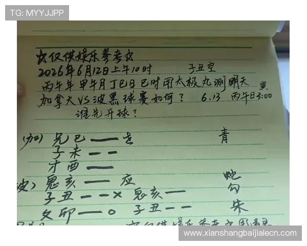 加拿大与波黑在2026世界杯比赛中的角球数统计及比赛战术分析